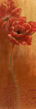 Poppy Dance I