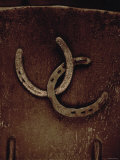 Lucky Horse Shoes on Rust Metallic