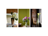 Buttercups at Window