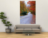 Hollywood Rd at Route 28  Adirondack Mountains  NY