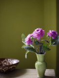 Olive Ambiance  Plum Dahlias