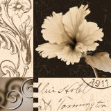 Hibiscus Blossom II