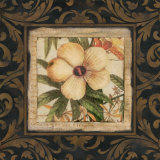 Tropical Botanique III