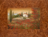 Fields of Tuscany II