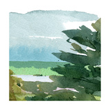 Summertime I