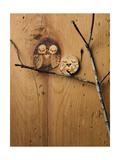 Wood Owl Knots