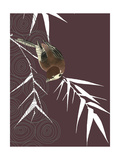 Finch in Dusk