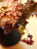 Spring Floral Medley Coral