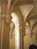 Cross Vault Arches