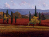 St Saturnin Study