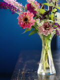 Spring Floral Medley Fuscia