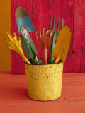 Gardening in Colors