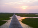 Boardwalk Sunset