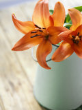 Orange Lilies in White Pail