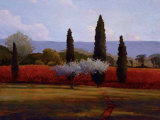 St Saturnin Olives