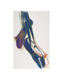 Ballet Slippers  c1981-82