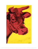 Cow  c1966 (Yellow and Pink)