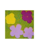 Flowers  c1970 (Yellow  Lilac  Purple)