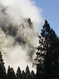 Cloud and Tree Silhouette Surrounding Upper Yosemite Falls  California