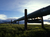 Alaska Pipeline on the North Slope