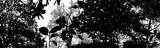 Landscape  c2007