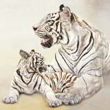 Tigres Blancs  Mere et Fille