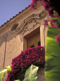Bougenvilia Flowers Decorate a Capri Island House in Italy