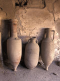 Ancient Wine Clay Vases in a Wine Store Using the Amphora Storage System in Pompeii  Italy