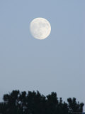 August Full Moon Rising over Oak View  California