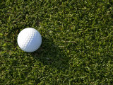 Close View of a Golf Ball in the Grass  Groton  Connecticut