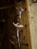 Array of Pliers at a Farm near Cortland  Nebraska