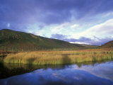 Brilliant Fall Colors and Light on Wonder Lake  Alaska