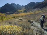 Backpacking in the Fall Colors at Mcgee Creek near Mammoth Lakes  California