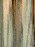 Closeup of Columns of the Supreme Court Building  Washington  DC