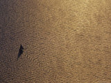 Aerial of Sailboat with Sun Reflecting on the Water  Bahamas