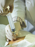 Amniocentisis Being Performed on a Pregnant Woman