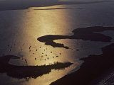 Aerial of Boats in Cove in Bahamas