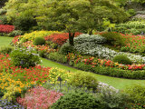 Butchart Gardens in Bloom