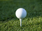 Close-Up of Golf Ball on a Tee  Groton  Connecticut