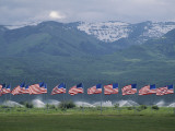 American Flags Honoring Veterans of Foreign Wars Fly on Memorial Day  Utah