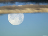Full Moon Setting in the Morning over Joshua Tree National Park  California