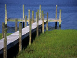 Dock in the Bay
