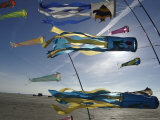 Kites Flying at Beach  Romo  Denmark