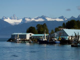 Devils Thumb and the Coast Range  The Scenic Fishing Port of Petersburg  Alaska