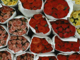 Close View of Bundles of Pink  Yellow  and Red Wrapped Roses
