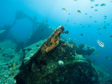 Diving on Wreck of Liberty  An American Cargo Ship Sunk in 1942  Bali  Indonesia