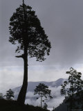 Cloud Covered Mountains in Yushan National Park