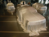 Car Manufacturer Unveils New Line of Domestic Cars  Japan