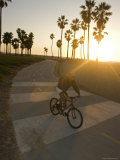 Cyclist on the Bike Path at Venice Beach in Venice  California