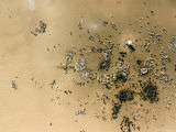 Hundreds of Livestock at Well  Niger  Africa